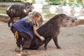 Barcelona, Ã¢â¬â¹Ã¢â¬â¹Spain, on May 2017 - Animal keeper at Barcelona Zoo taking care of the Amazonian tapir Royalty Free Stock Photo